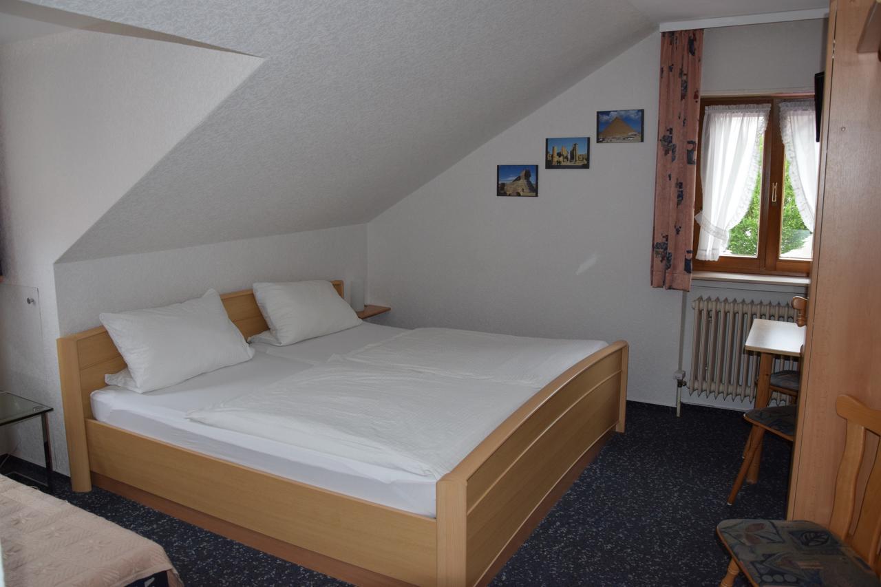 Hotel Sonne Sinsheim Exterior foto
